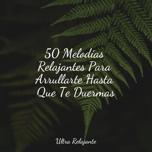 Resonancia De La Tierra