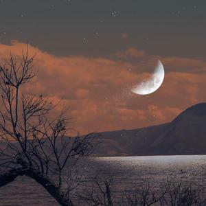 疏（翻自 风华）