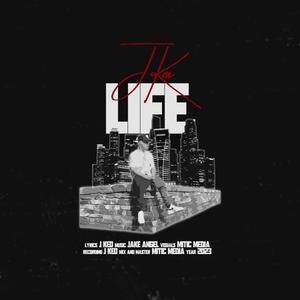 Life Remix (feat. Tiffany Chantelle & Omar Velour) (Radio Edit)