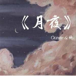 月夜（翻自 双笙）