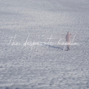 The desperate Kapila