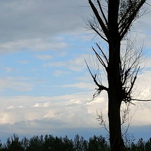 雨爱（吉他版）