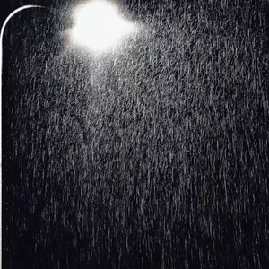 耻辱柱（cover：刘思鉴）