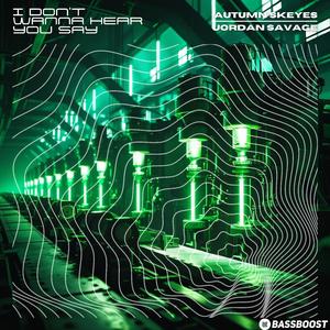 I Don't Wanna Hear You Say