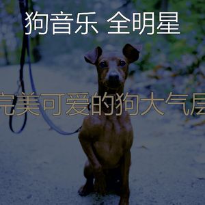 安静的可爱的狗声音