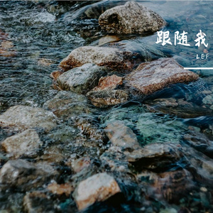 跟随我（采样"River Flows In You"）