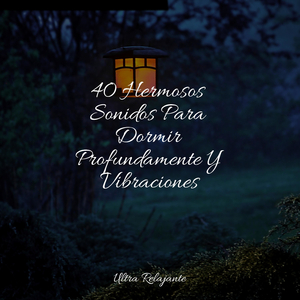 Melodía De Goteo Tranquilo