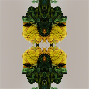 When Everything Falls Apart