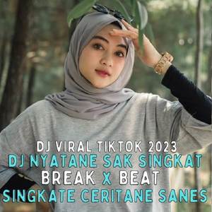 DJ NYATANE SAK SINGKAT SINGKATE CERITANE FULLBASS KANEE