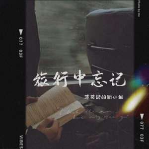 旅行中忘记（cover：袁娅维）