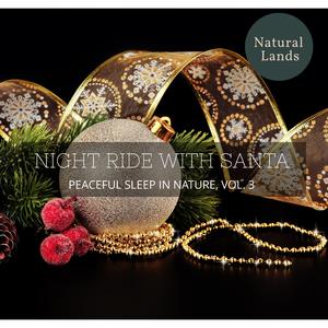 Humid Cool Dawn Forest