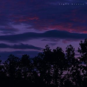 night breeze