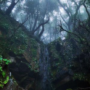 坠落之后的回声