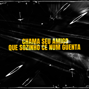 Chama Seu Amigo Que Sozinho Ce Num Guenta