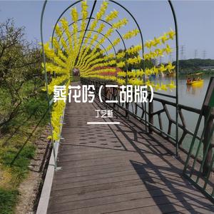 葬花吟(二胡版)