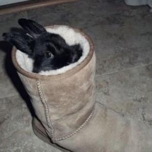 no no, i dont love you no more