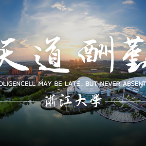 不要小瞧我只是一只羊（0.7x）