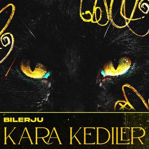 Kara Kediler