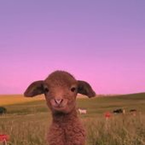 Bien Montados (slowed)