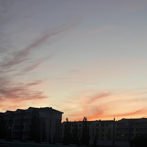 我跟你讲 我今天