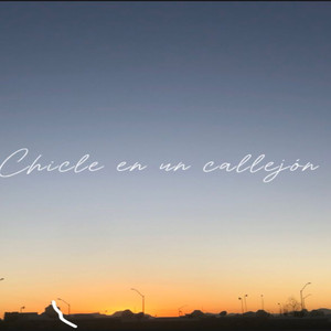 Chicle en un Callejón