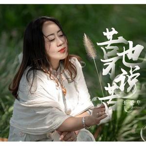 苦也不说苦 (DJ版)