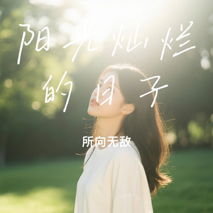 阳光灿烂的日子