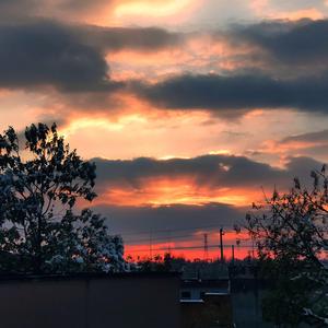 垃圾小情歌（proud by MAGE）