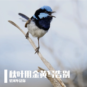 安德鲁罗文-摇滚35