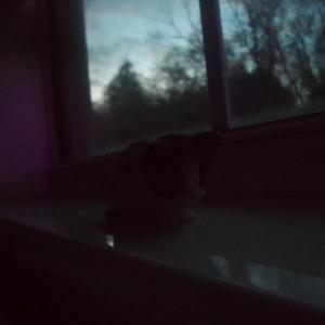 i really like being close to you