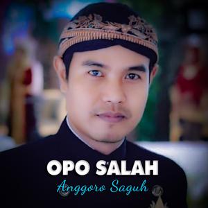 Opo Salah (feat. Anggoro Saguh, Musisi Indonesia, Lagu Jawa, Dangdut Koplo & @dpstudioprod)