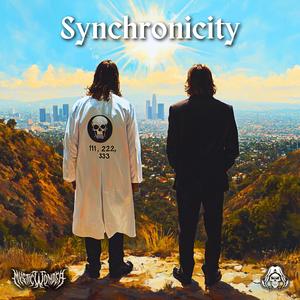 Synchronicity