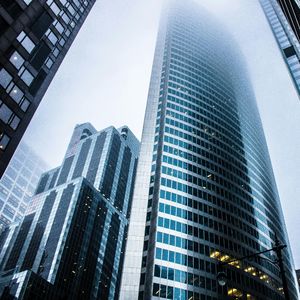 老板让我干掉谷歌