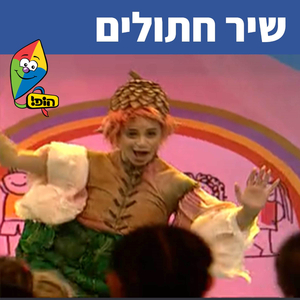 שיר חתולים