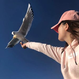 【trap伴奏】暗夜来袭