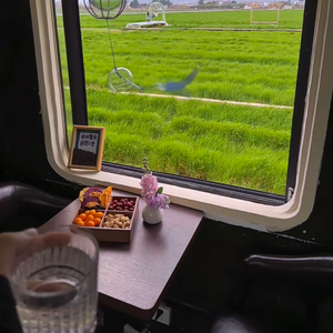 白茶清欢无别事