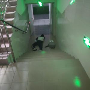 “suge” type beat