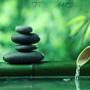 Te Adorare (En Vivo)