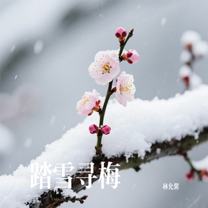 踏雪寻梅
