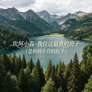 我住过最贵的房子（是妈妈十月的肚子）