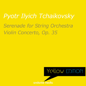Violin Concerto in D Major, Op. 35: I. Allegro moderato - Moderato assai