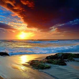 For Raf (Bossa Flip)