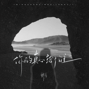 你的真心给了谁 (DJ沈念版)