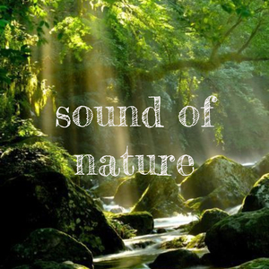 Sound Of Nature