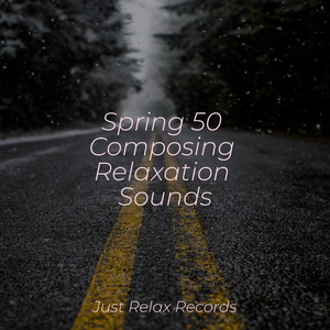 Echoes in the Quarry