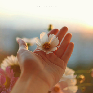 마음이 지친 이들에게