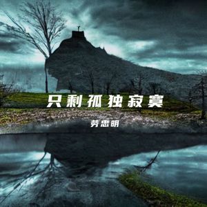 只剩孤独寂寞 (现场)