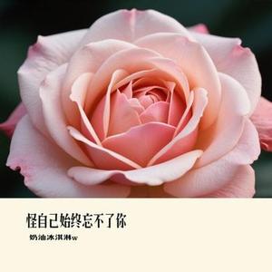 等风等雨等着你 (奶油冰淇淋w Remix)