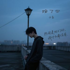 除了你（抒情版）