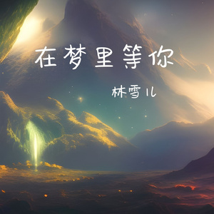 在梦里等你